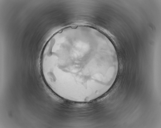 X0000110971423200907310920