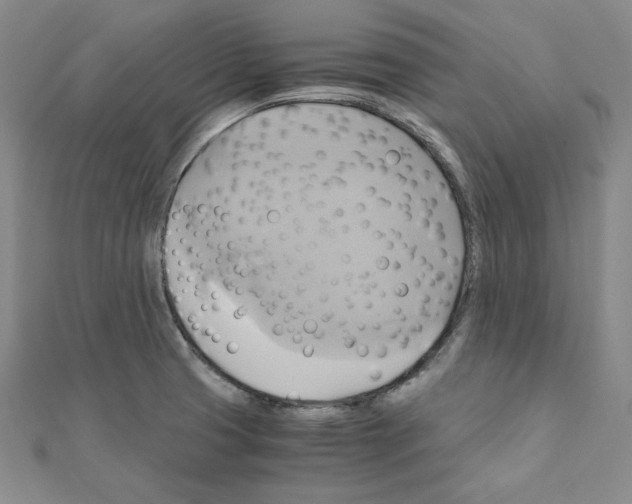 X0000110971425200907310920
