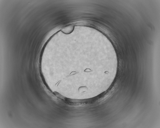 X0000110971426200907310920