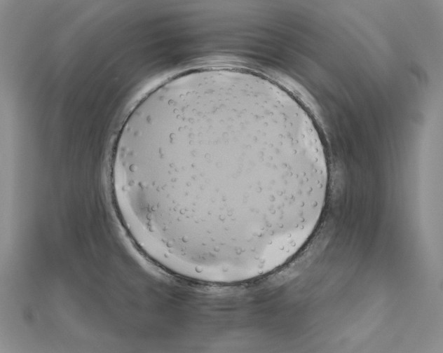 X0000110971429200907310920