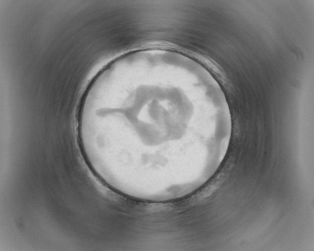 X0000110971430200907310920