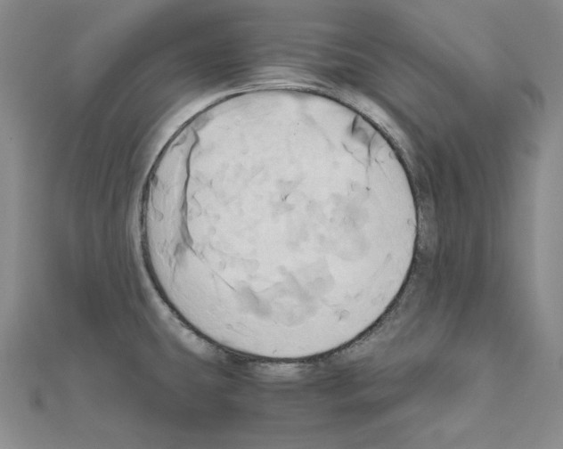 X0000110971431200907310920