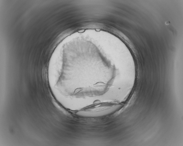 X0000110971433200907310920