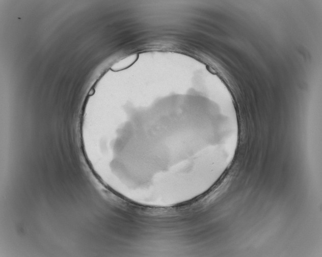 X0000110971434200907310920