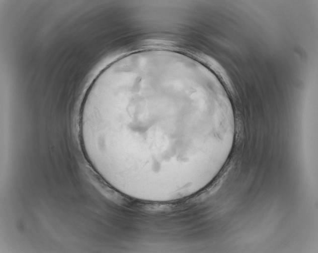 X0000110971435200907310920