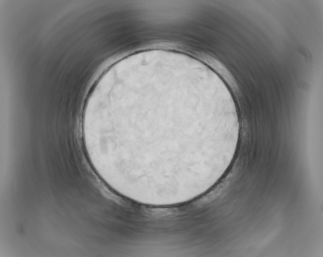 X0000110971436200907310920