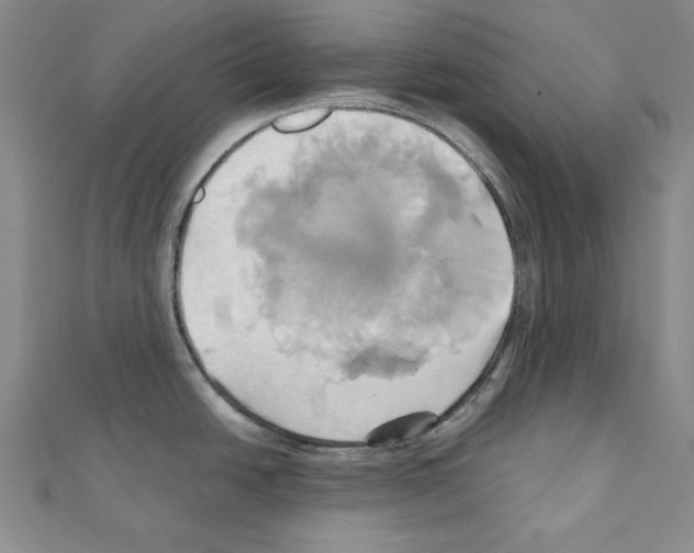 X0000110971438200907310920