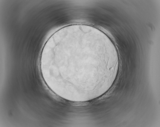 X0000110971440200907310920