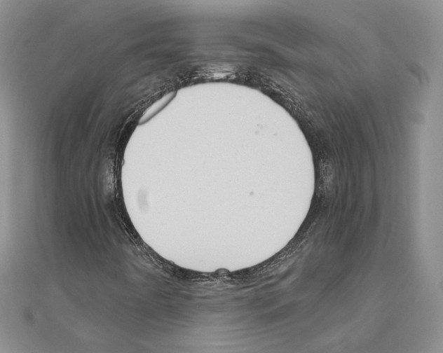 X0000110971442200907310919
