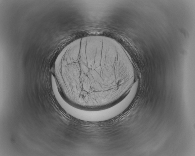 X0000110971444200907310919