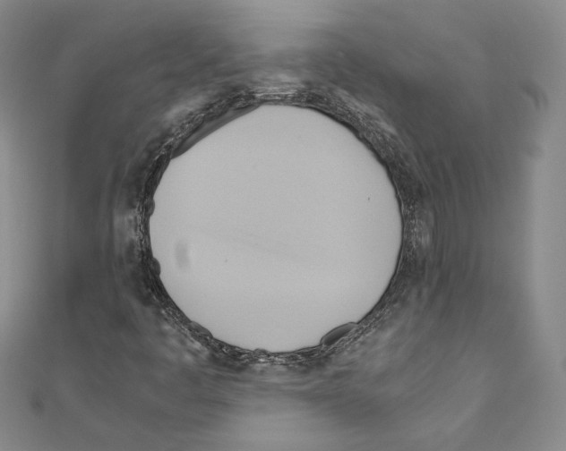 X0000110971445200907310919