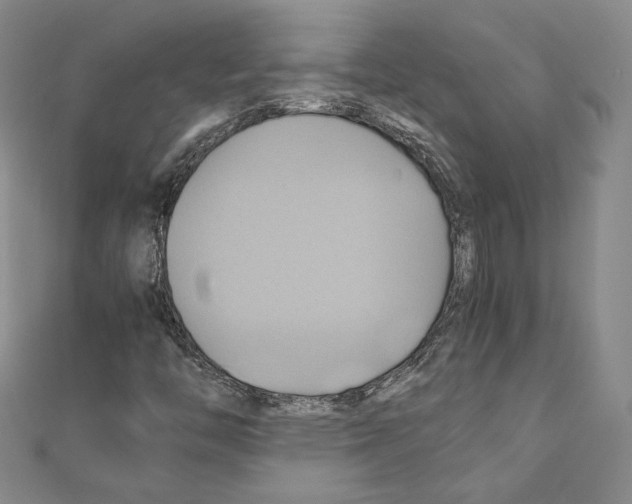 X0000110971446200907310919