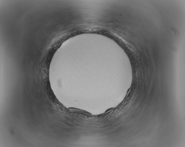 X0000110971447200907310919