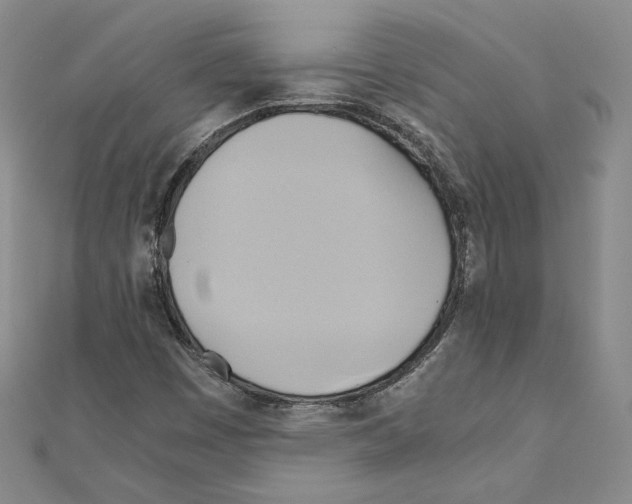 X0000110971449200907310919