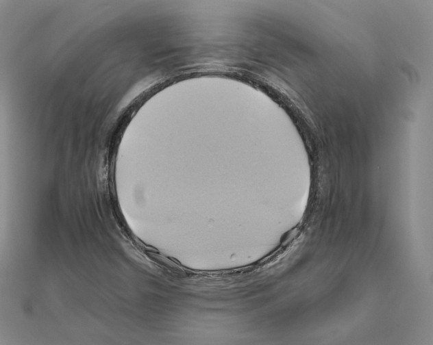 X0000110971450200907310919