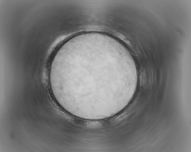 X0000110971454200907310919