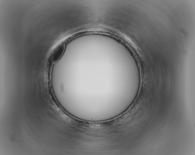 X0000110971456200907310919