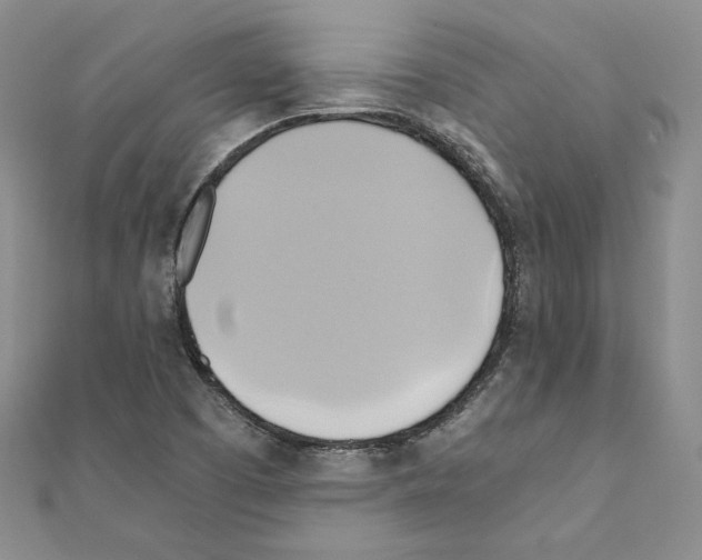 X0000110971457200907310919