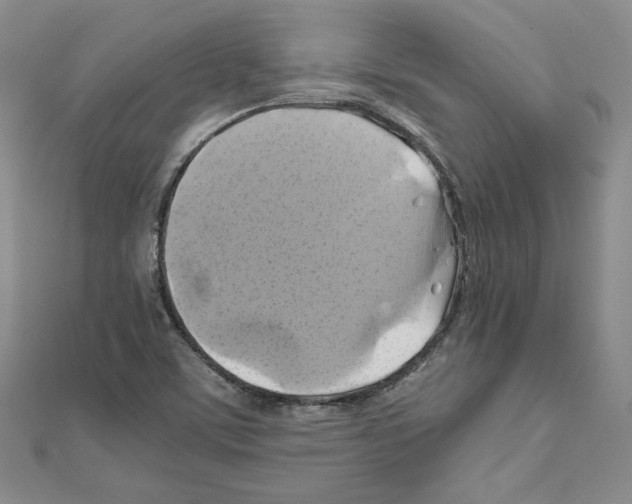 X0000110971459200907310919