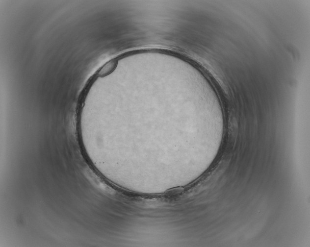 X0000110971460200907310919