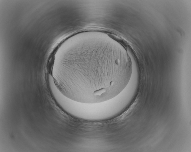 X0000110971461200907310919