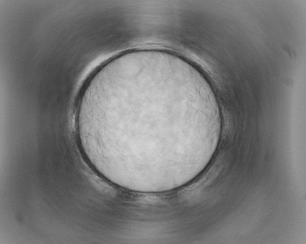 X0000110971462200907310919