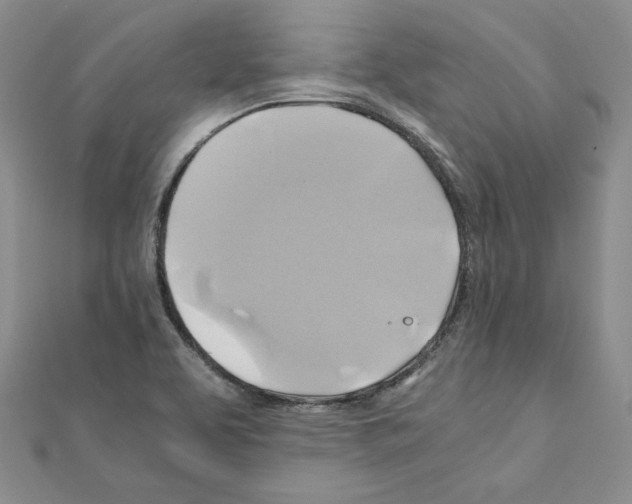 X0000110971463200907310919