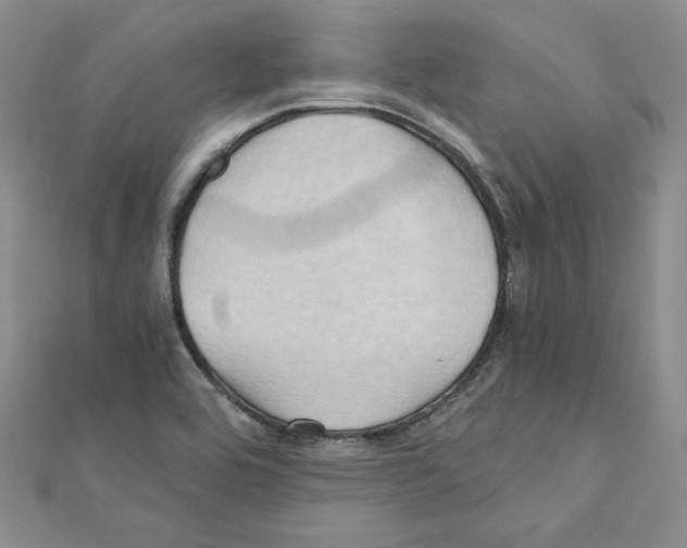 X0000110971464200907310919