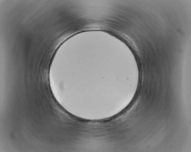 X0000110971465200907310919