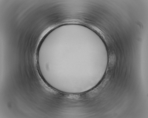 X0000110971466200907310919