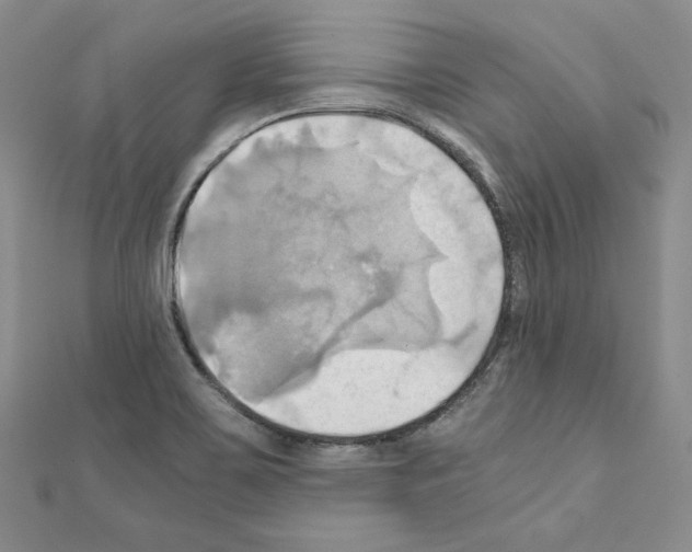 X0000110971467200907310919