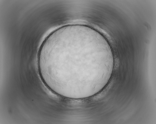 X0000110971470200907310919