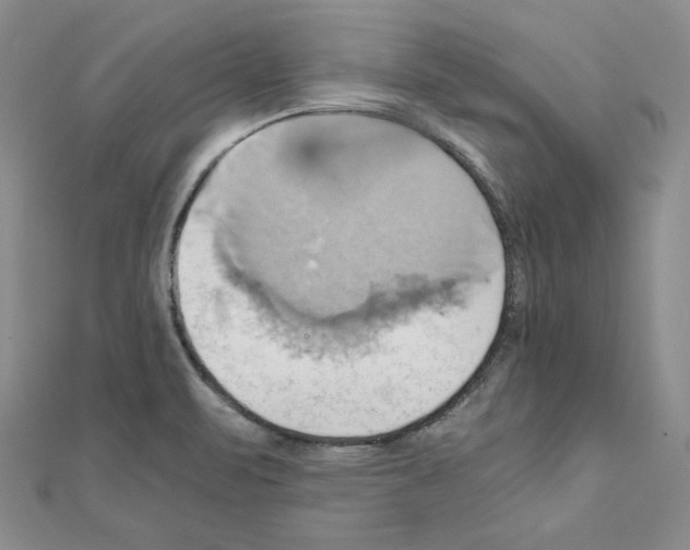 X0000110971471200907310919