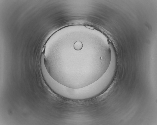 X0000110971473200907310919