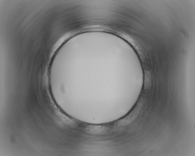 X0000110971474200907310919