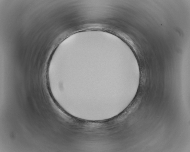 X0000110971475200907310919