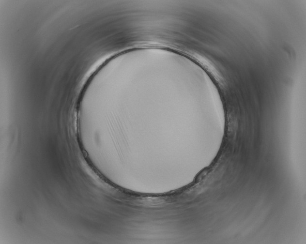 X0000110971476200907310919
