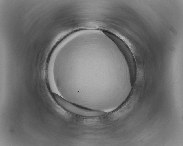 X0000110971477200907310919