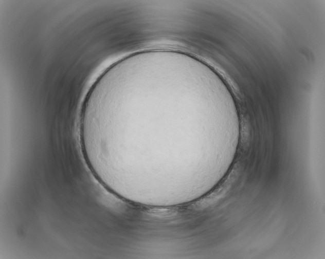 X0000110971478200907310919