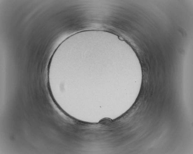 X0000110971479200907310919