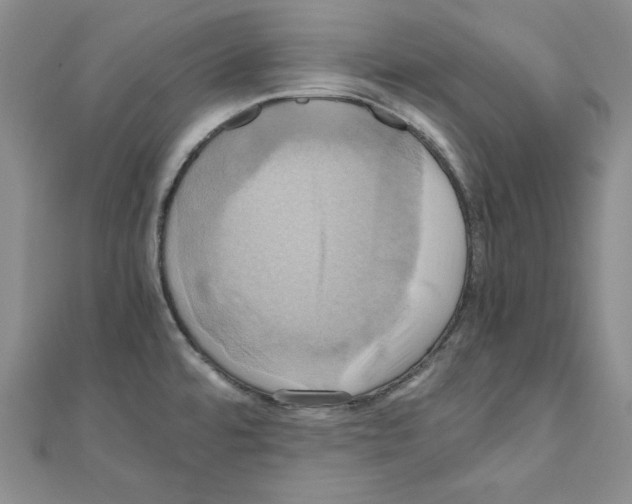 X0000110971480200907310919