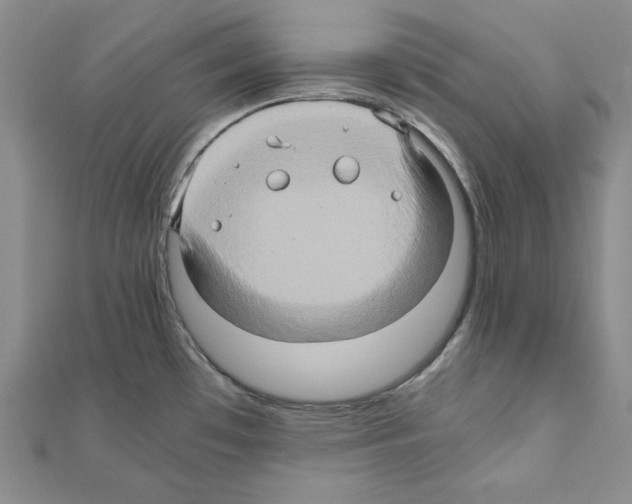 X0000110971481200907310919