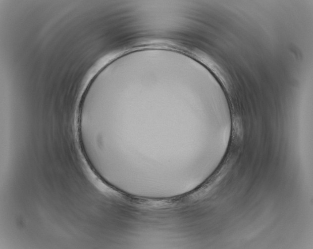 X0000110971482200907310919