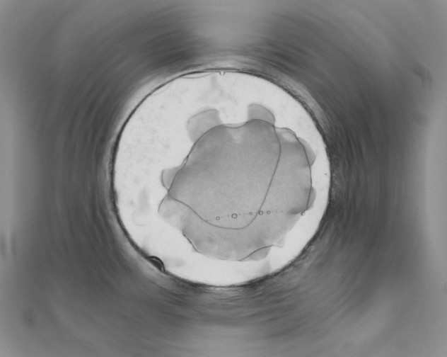 X0000110971483200907310919