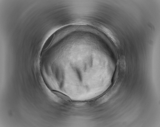 X0000110971484200907310919