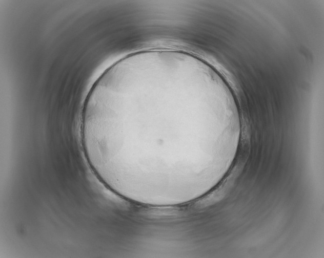 X0000110971486200907310919