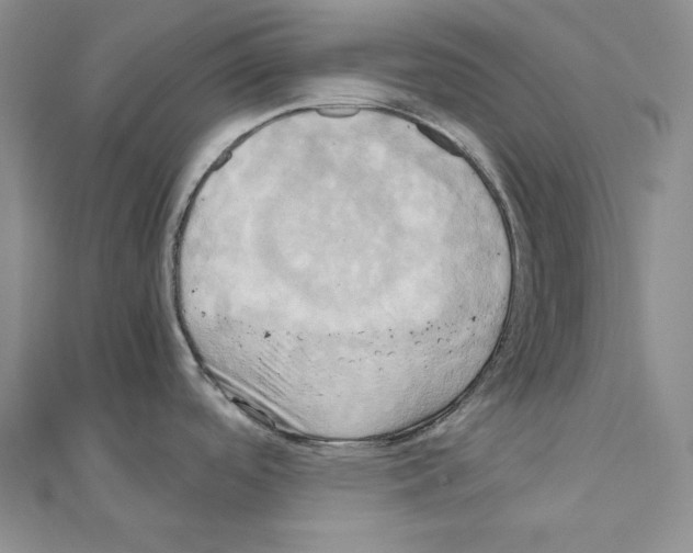X0000110971488200907310919