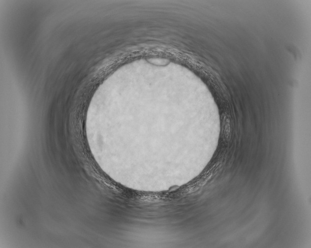 X0000110971489200907310918