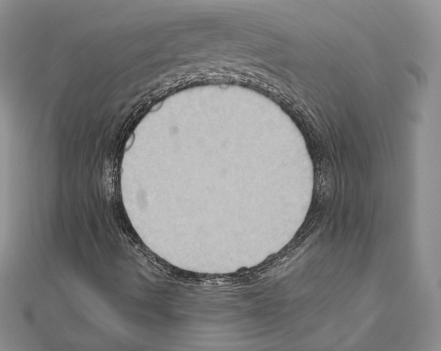 X0000110971490200907310918