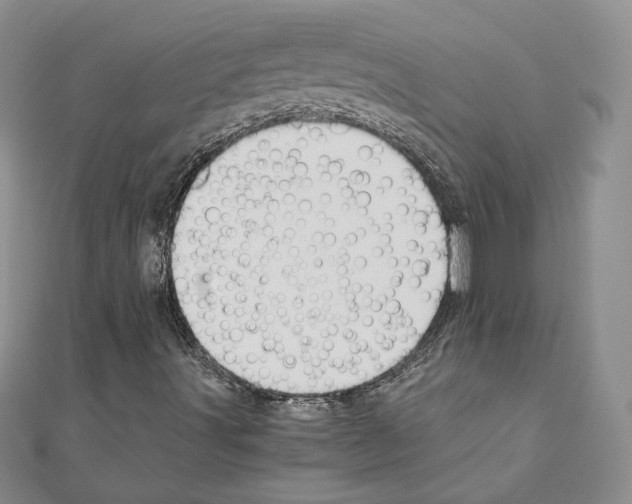 X0000110971491200907310918